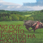 Acting out: Граничното растројство на личноста (4)